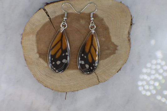 Real Monarch Butterfly Wing Earrings with Sterling Silver Components